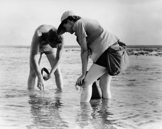 Rachel Carson y Bob Hines