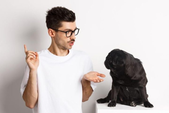 Hombre conversa con perro. ¿Pueden los animales no humanos tener creencias?