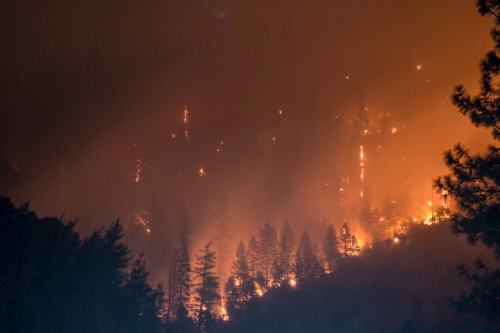 Incendios forestales y cambio climático