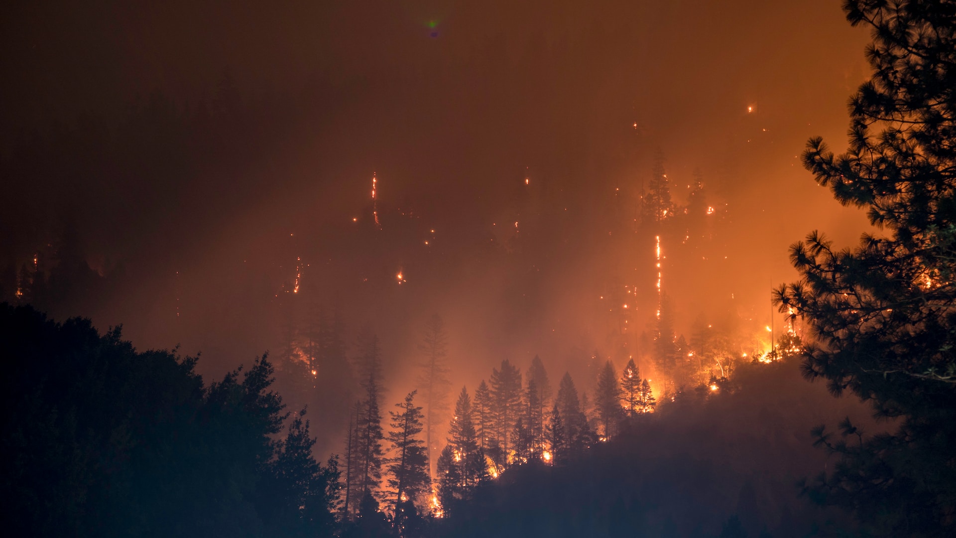 Incendios forestales y cambio climático