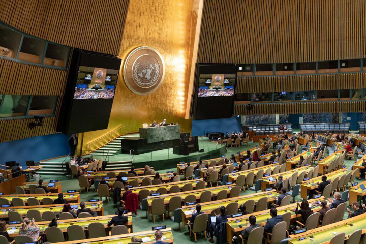 La Asamblea General se reúne para dar seguimiento a los resultados de la Cumbre del Milenio. UN Photo/Rick Bajornas