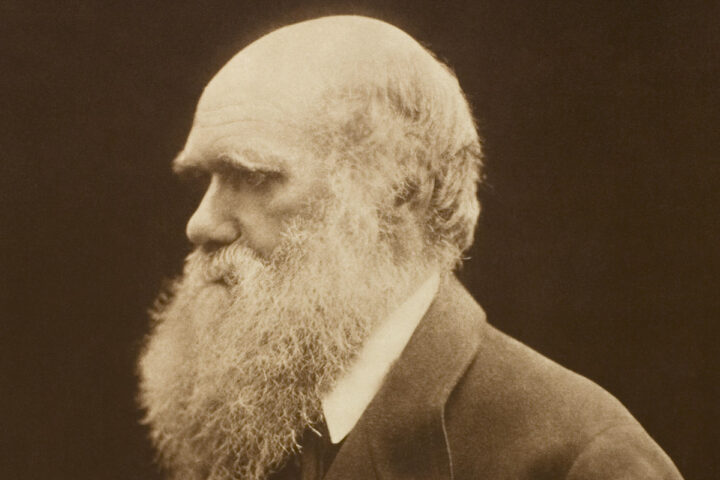 Impresión al carbono de una fotografía de Charles Darwin. Referencia de la Colección Alfred Steiglitz 1949.881, Art Institute of Chicago, circa 1868, impresión de 1875.