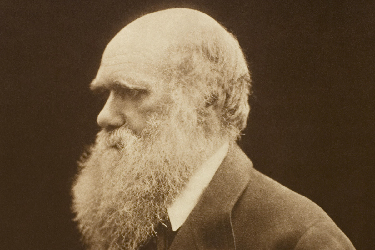 Impresión al carbono de una fotografía de Charles Darwin. Referencia de la Colección Alfred Steiglitz 1949.881, Art Institute of Chicago, circa 1868, impresión de 1875.