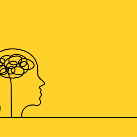 Qué es la fenomenología crítica - Representación gráfica de persona en conexión con el mundo de la representación