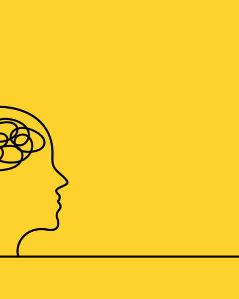 Qué es la fenomenología crítica - Representación gráfica de persona en conexión con el mundo de la representación