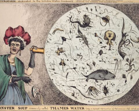 Monster Soup, an 1828 political cartoon by William Heath, shows a woman horrified by a magnified drop of Thames River water. Wellcome Images via Wikimedia