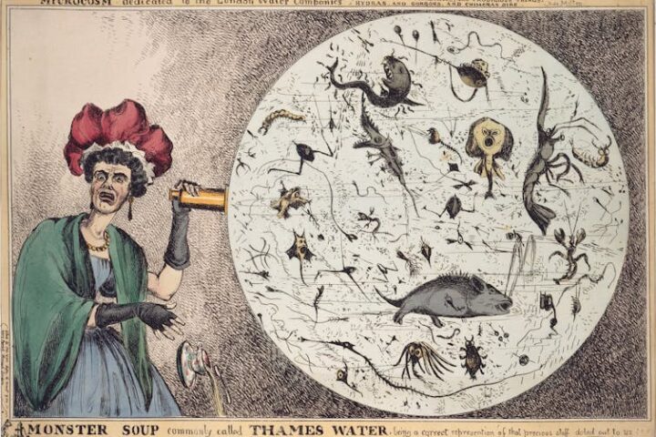 Monster Soup, an 1828 political cartoon by William Heath, shows a woman horrified by a magnified drop of Thames River water. Wellcome Images via Wikimedia